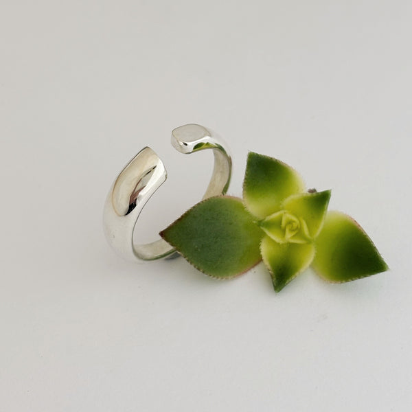 Small Nearly There Ring